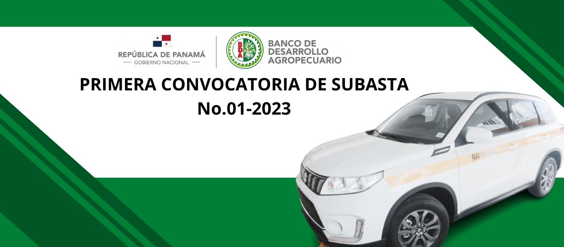 Convocatoria Subasta