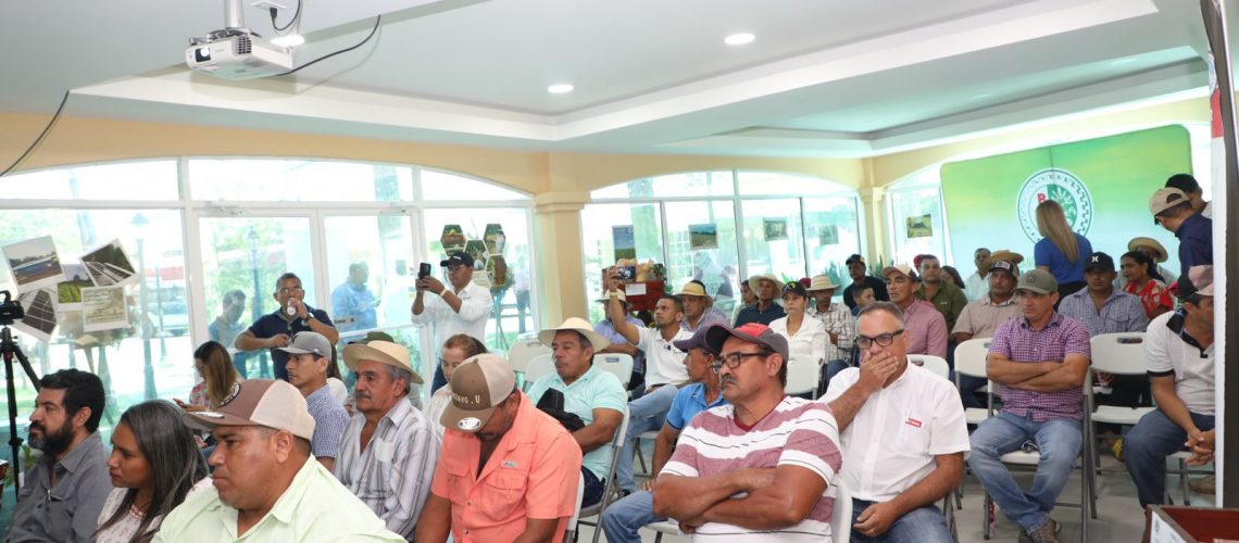 IMG-20240422-Jornada (46)