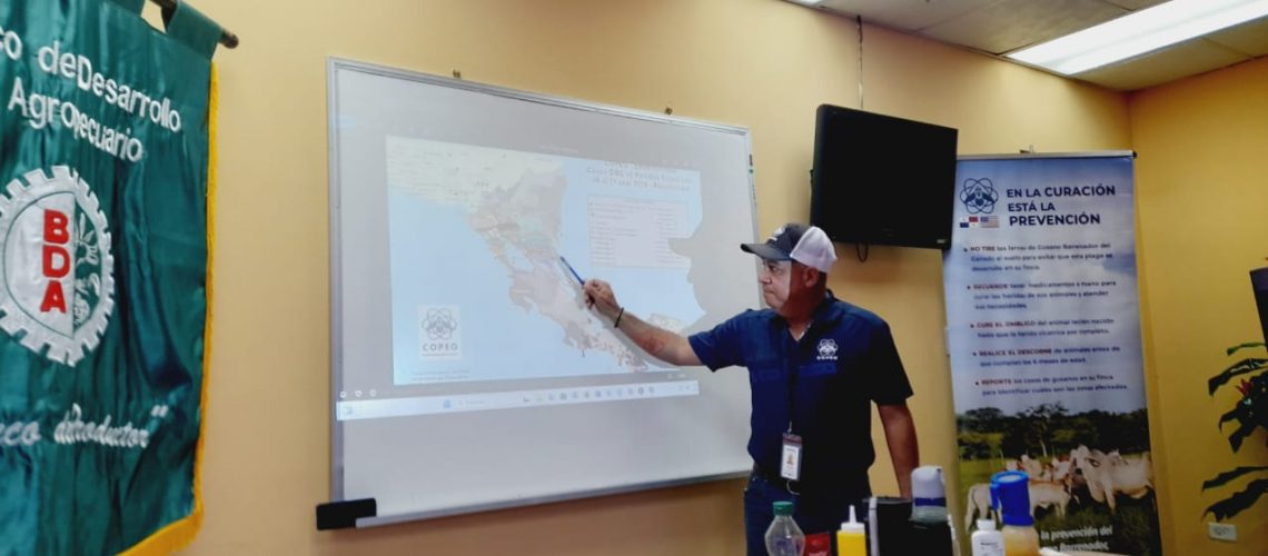 REGIONAL DE BOCAS DEL TORO (5)