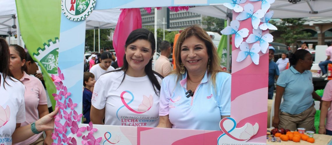 cinta rosada (7)