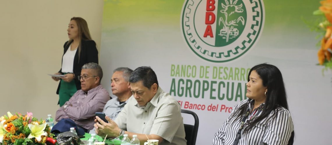 programas-nuevos-33